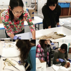 A collage of 5 female students examining various museum objects