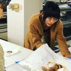 An Asian female with shoulder length black hair examines a necklace made of animal tusk, cowrie shells and fiber. She wears a camel colored sweater.