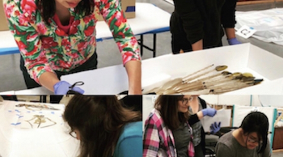 A collage of 5 female students examining various museum objects